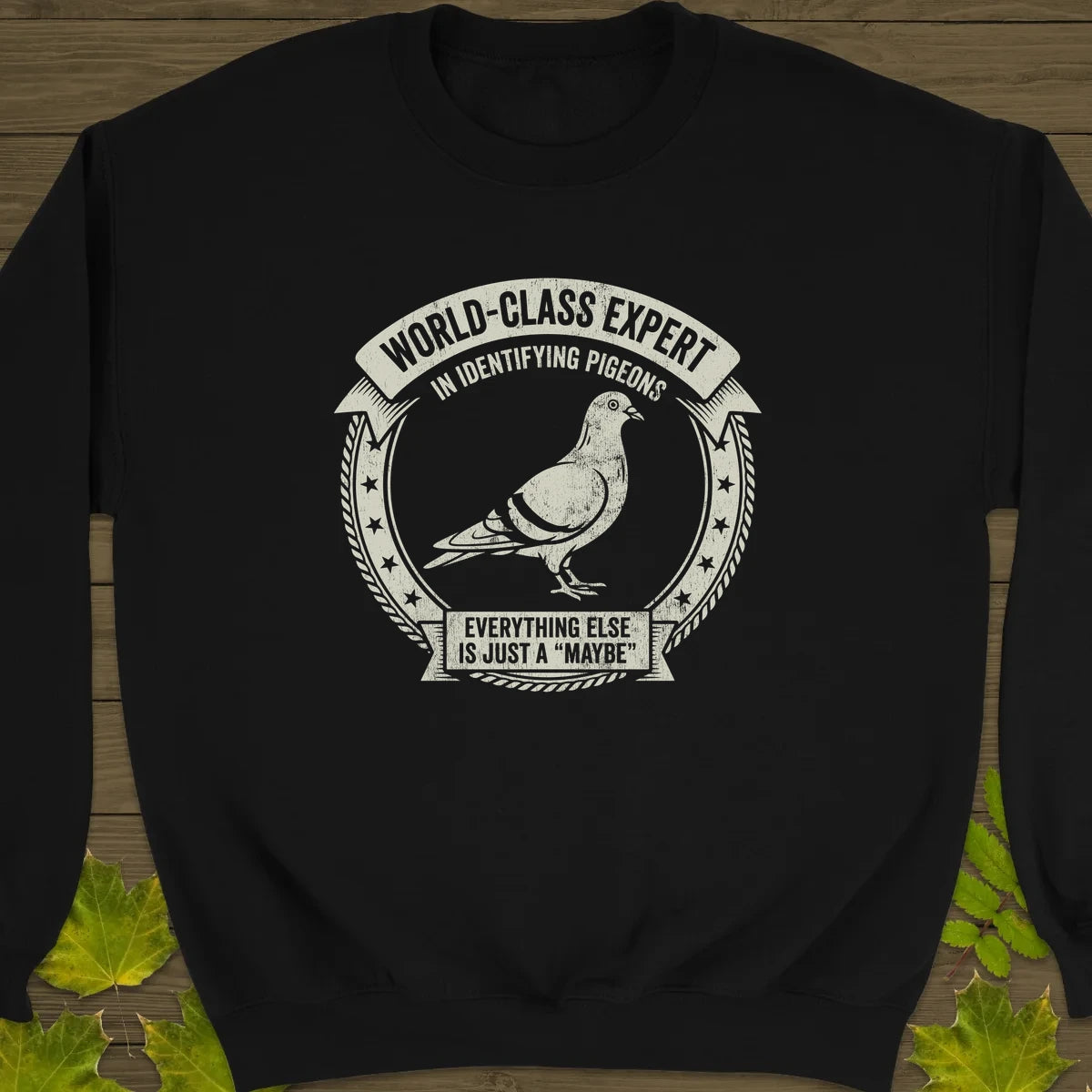 Identifying Pigeons Sweatshirt in Black