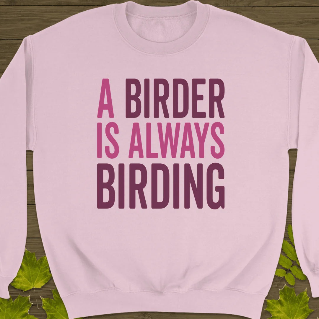 Birder Always Birding Sweatshirt in Light Pink