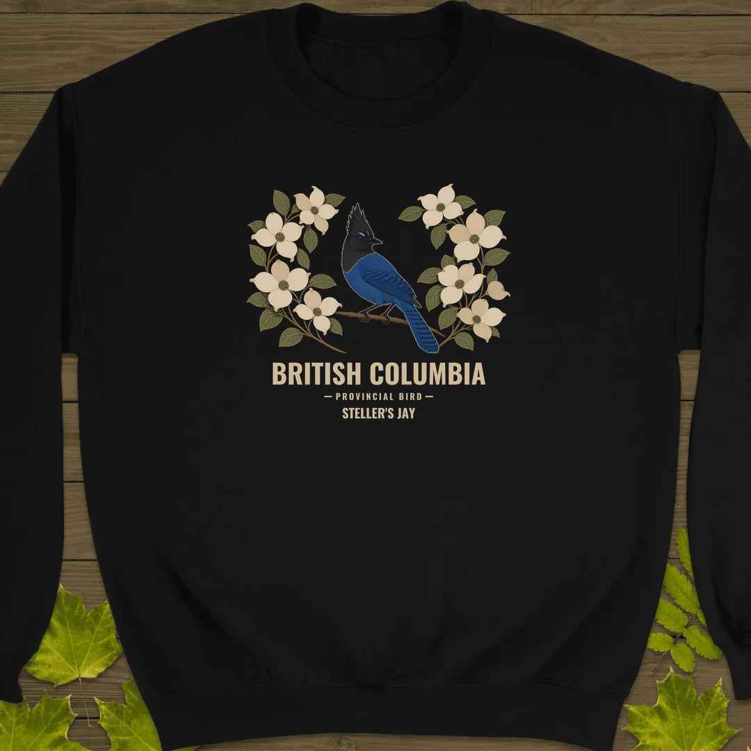 British Columbia Steller's Jay Sweatshirt in Black