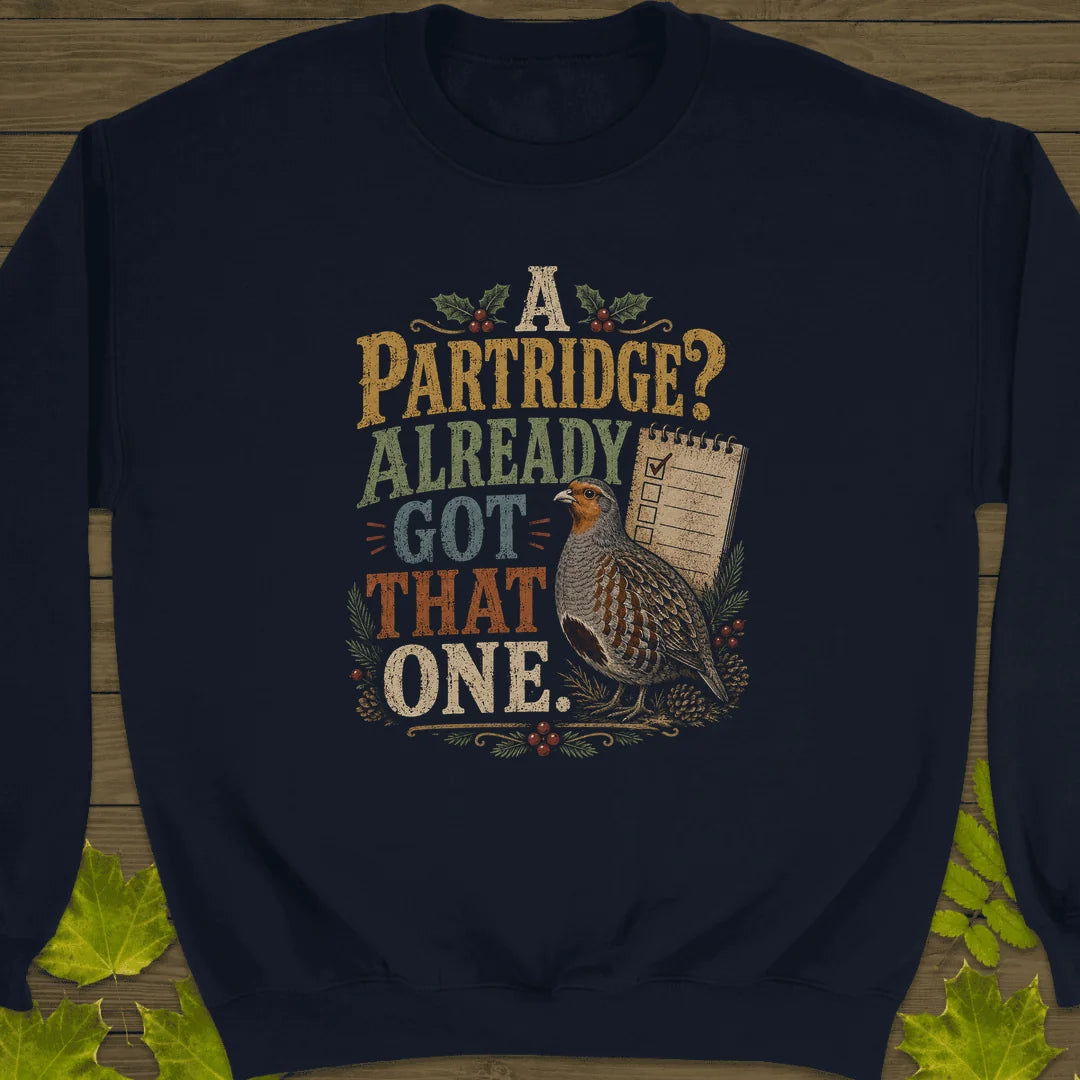 Already Got That One Sweatshirt in Navy
