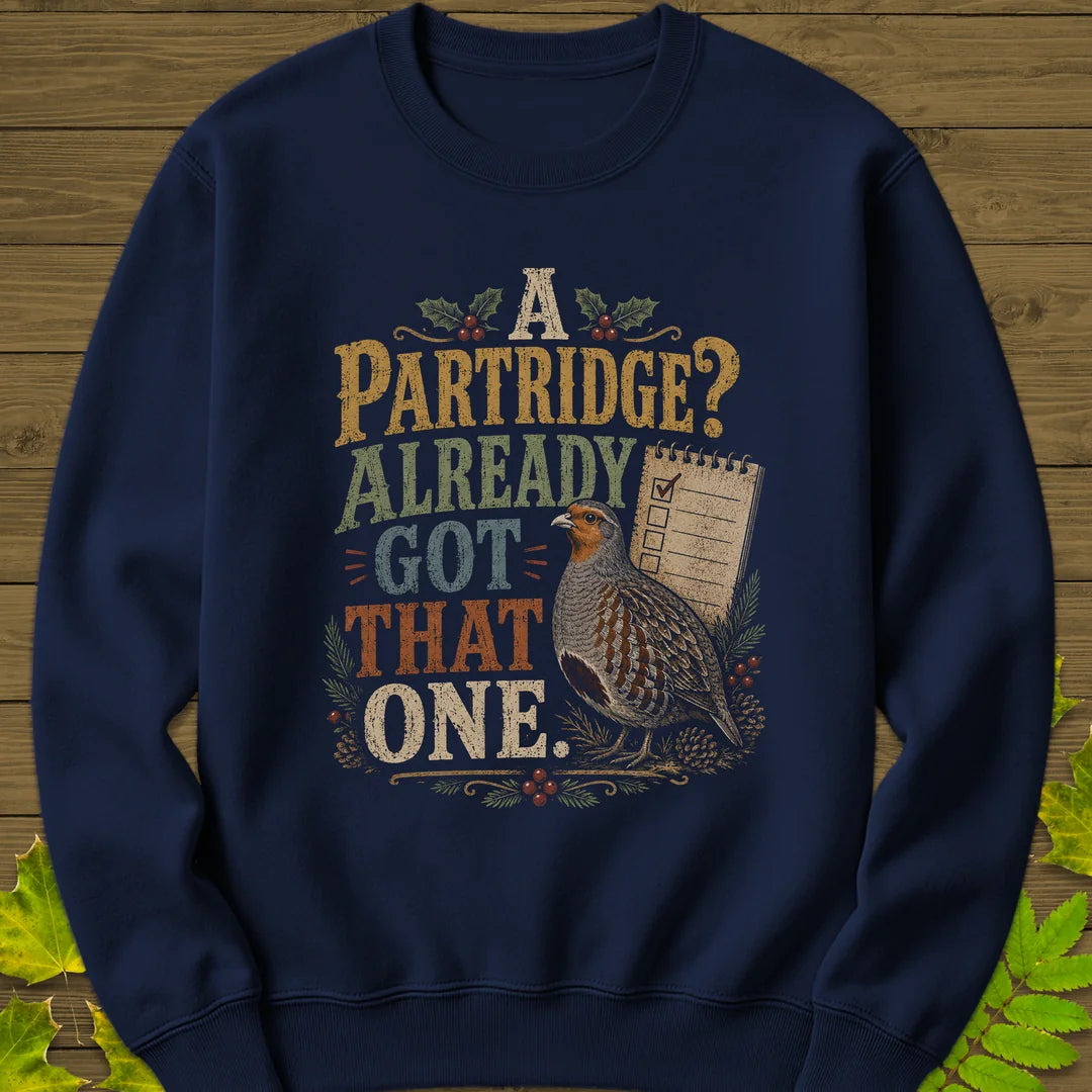 Already Got That One Sweatshirt in Navy