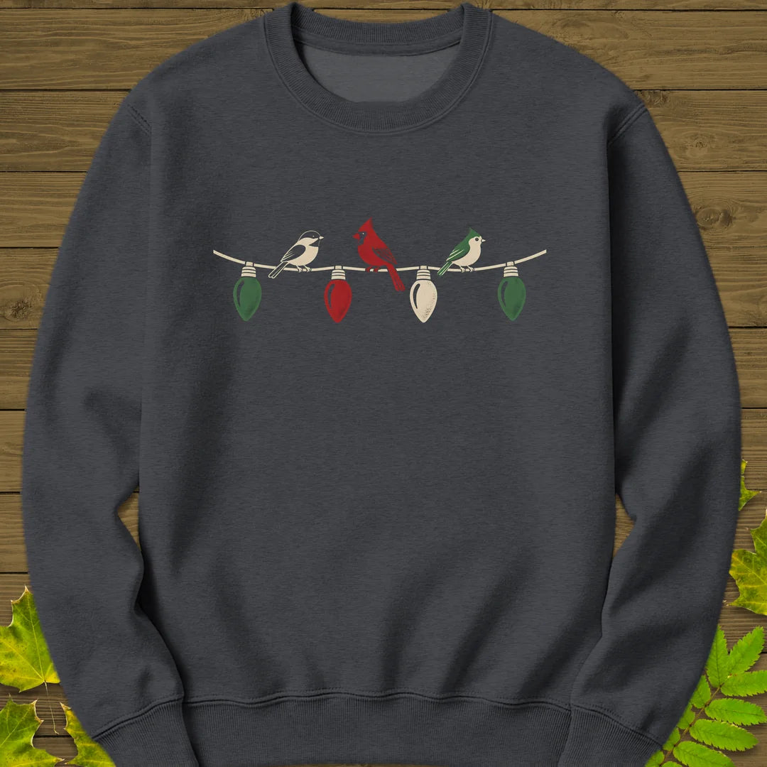 Holiday Light Perch Sweatshirt in Dark Heather