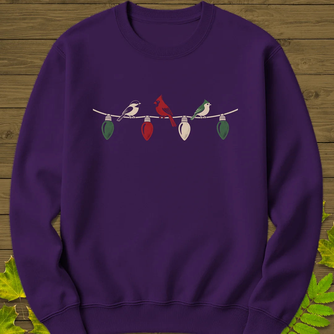 Holiday Light Perch Sweatshirt in Purple