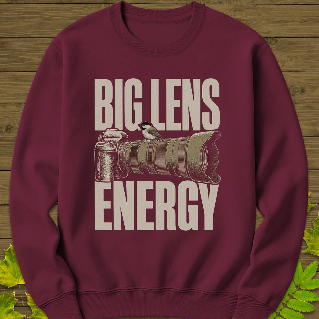 Big Lens Energy Sweatshirt in Maroon