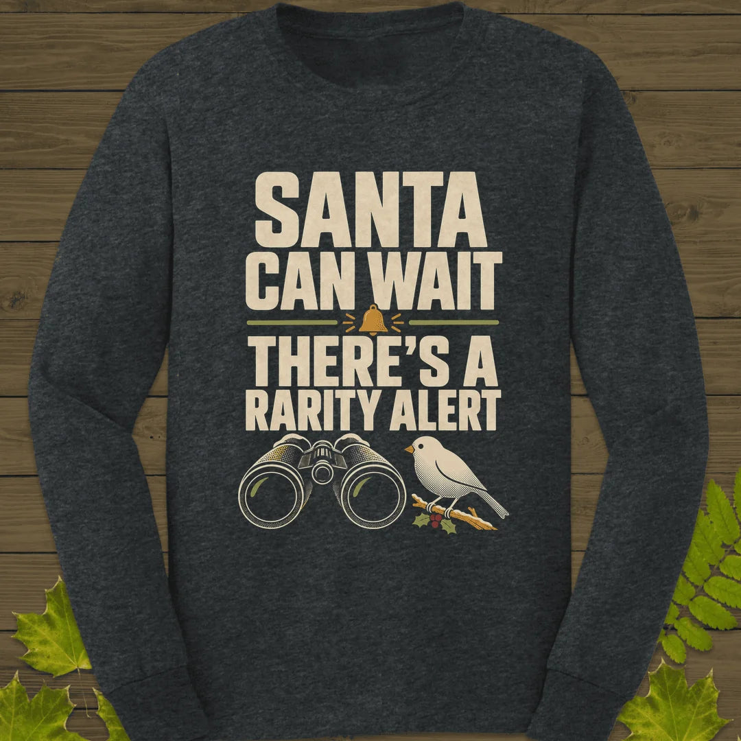 Rarity Alert Long Sleeve in Dark Heather