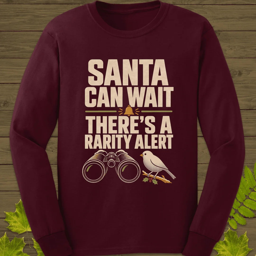 Rarity Alert Long Sleeve in Maroon