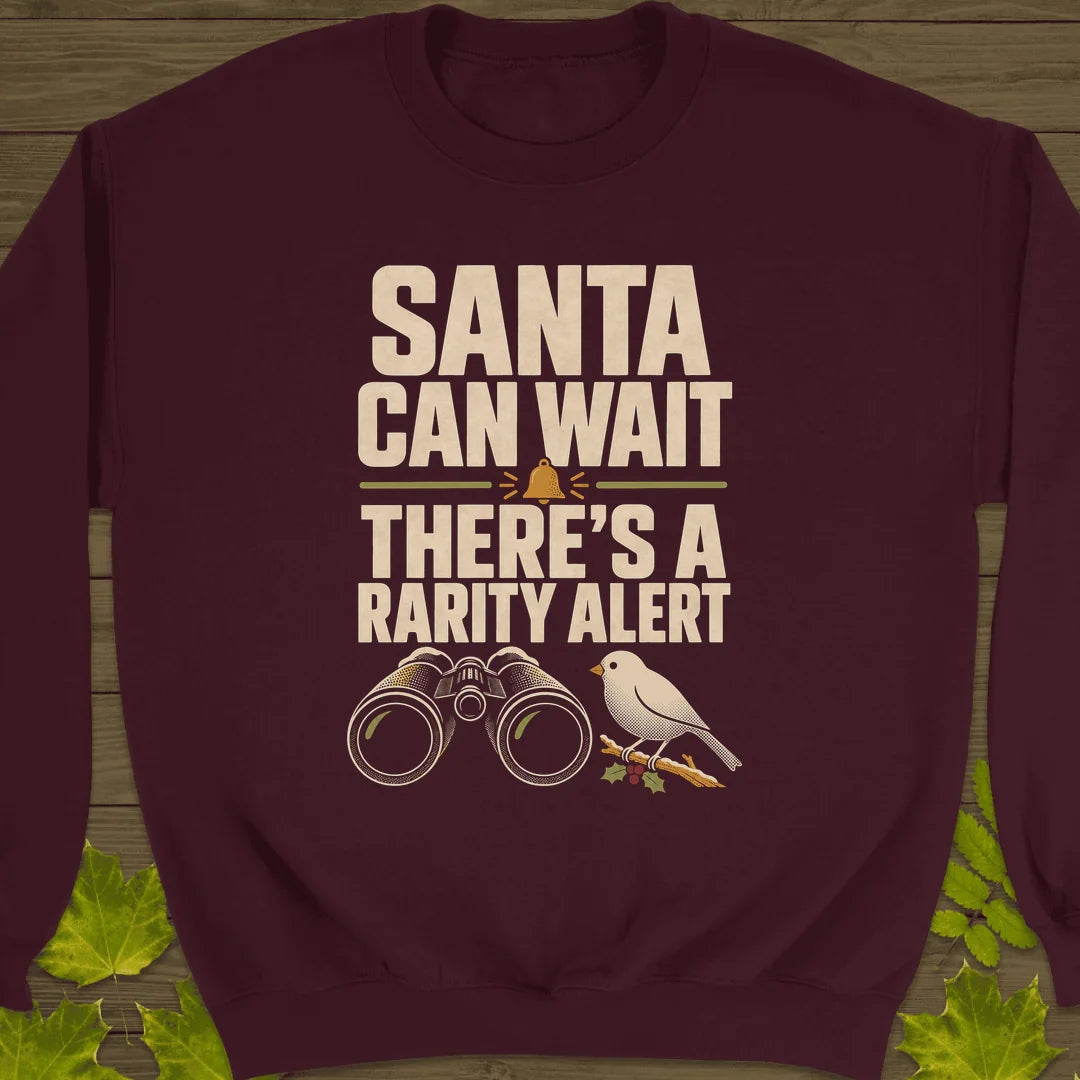 Rarity Alert Sweatshirt in Maroon