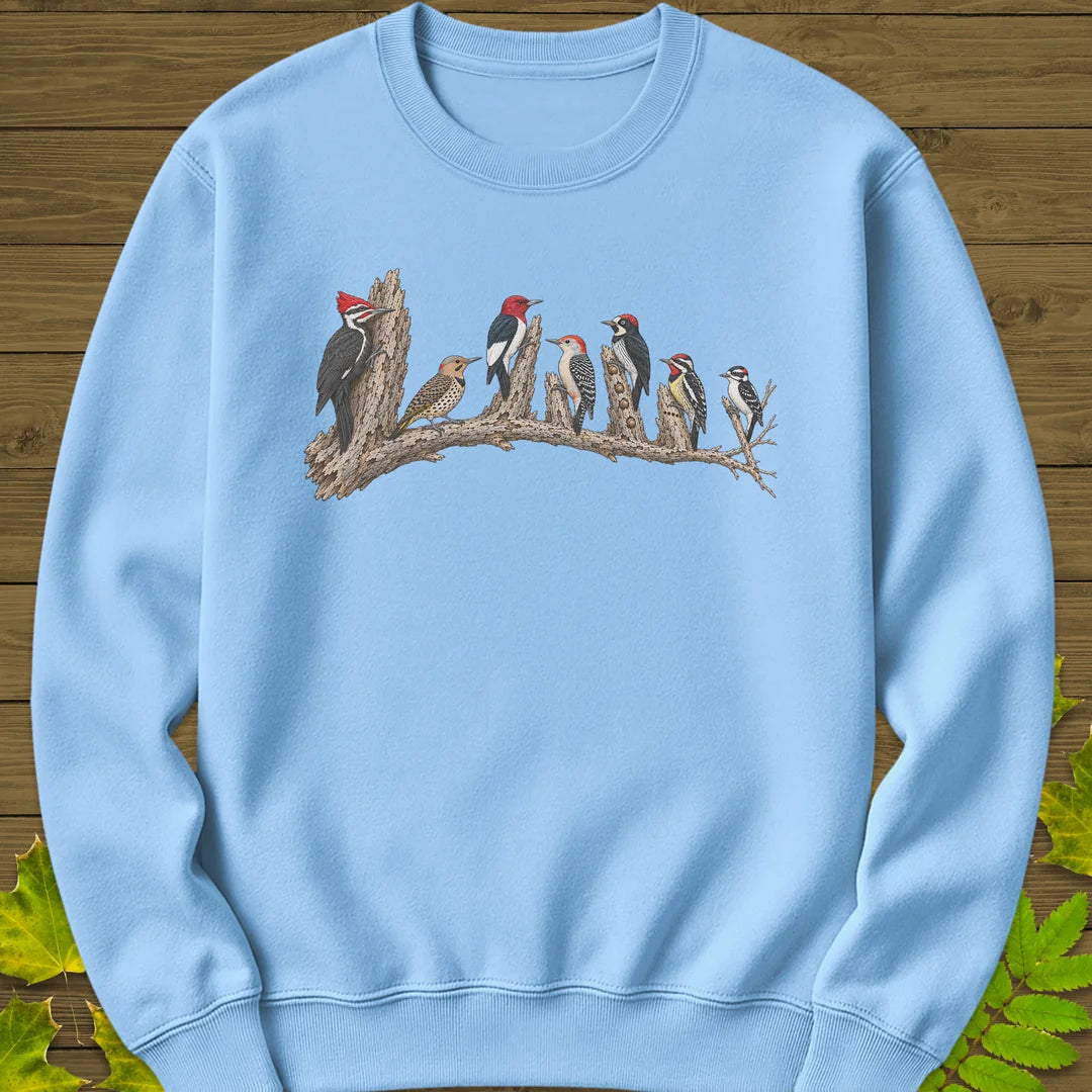 Woodpecker Lineup Sweatshirt in Light Blue