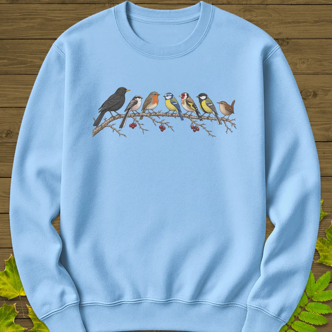 Garden Bird Lineup Sweatshirt in Light Blue