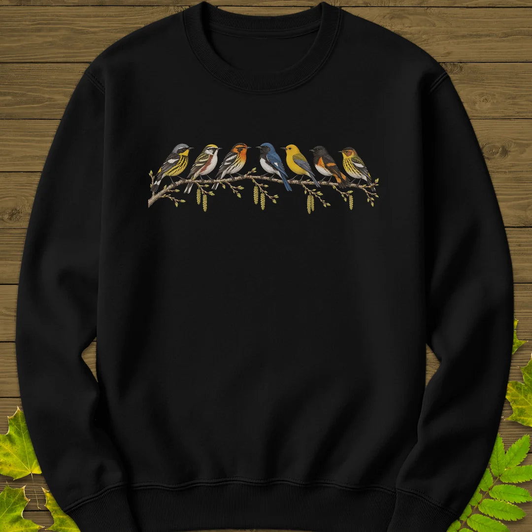 Warbler Lineup Sweatshirt in Black