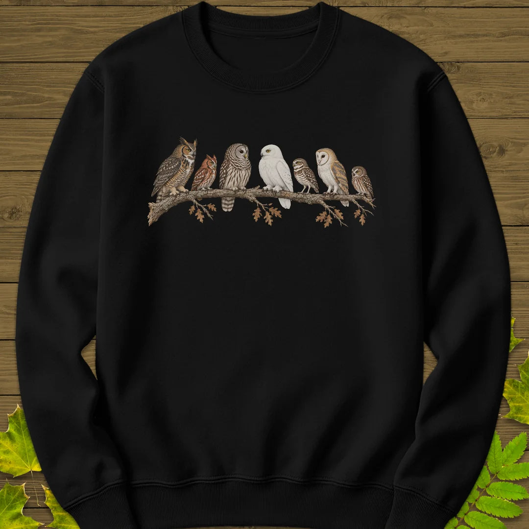 Owl Parliament Sweatshirt in Black