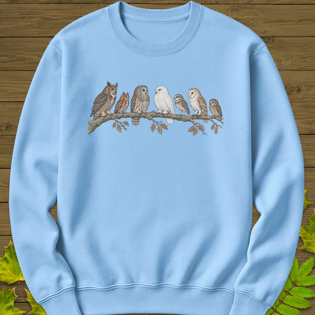 Owl Parliament Sweatshirt in Light Blue