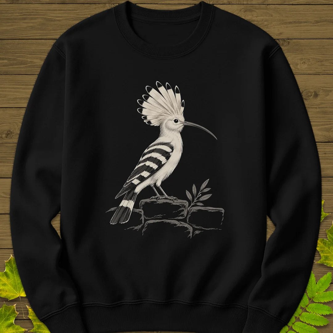 Hoopoe Crest Sweatshirt in Black