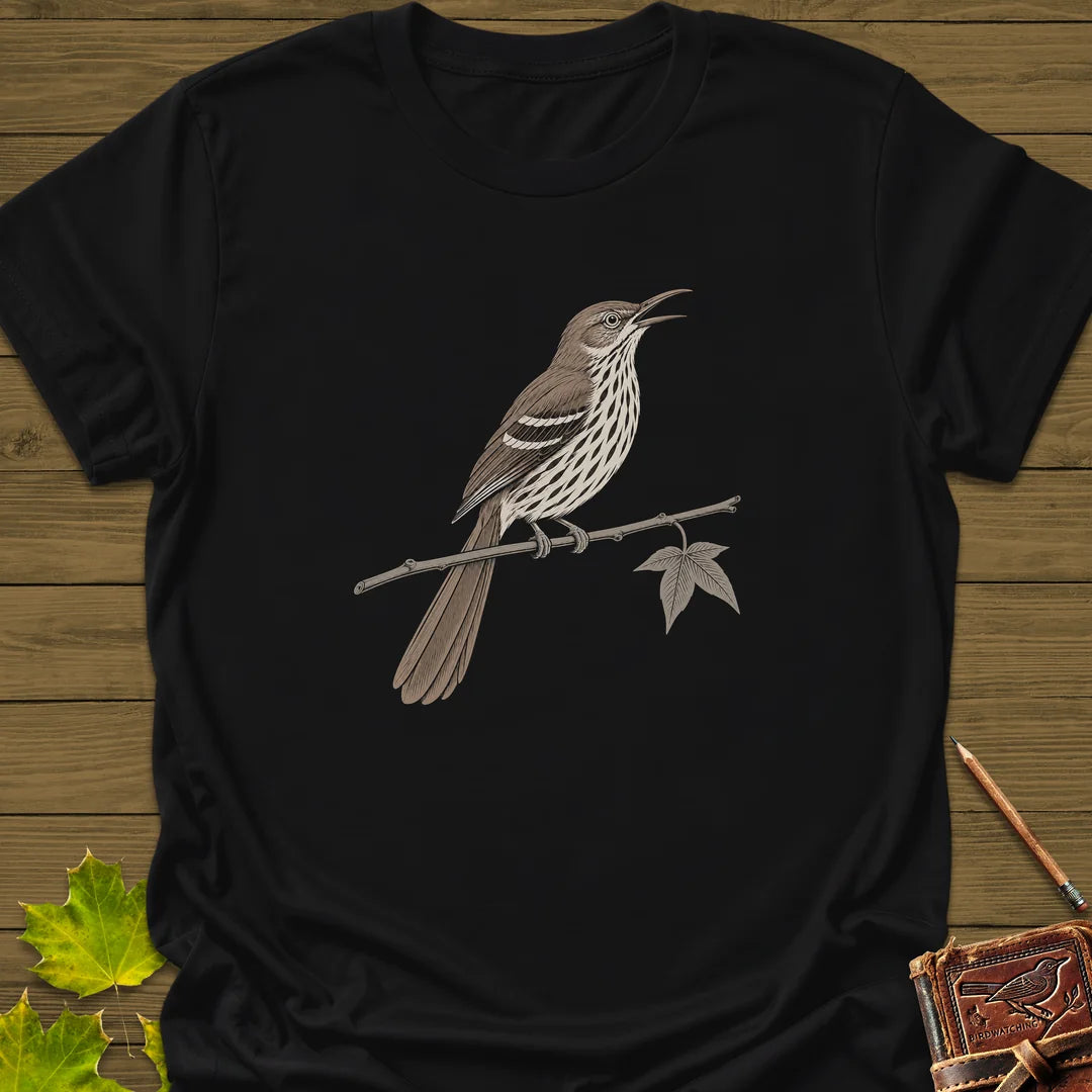Sweetgum Songster T-Shirt in Black