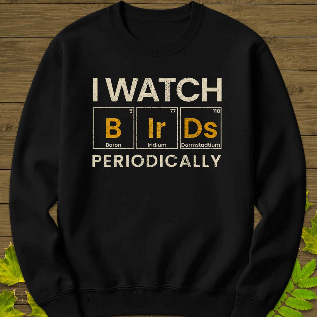 Watch Birds Periodically Sweatshirt in Black