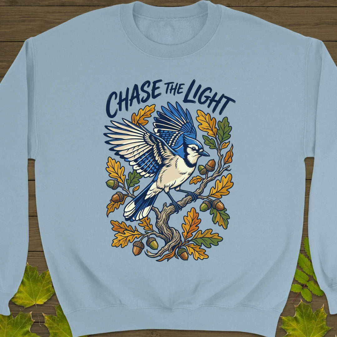 Chase The Light Sweatshirt Light Blue