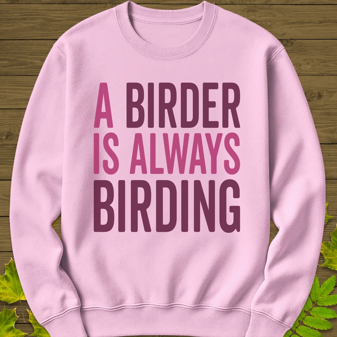 Birder Always Birding Sweatshirt in Light Pink