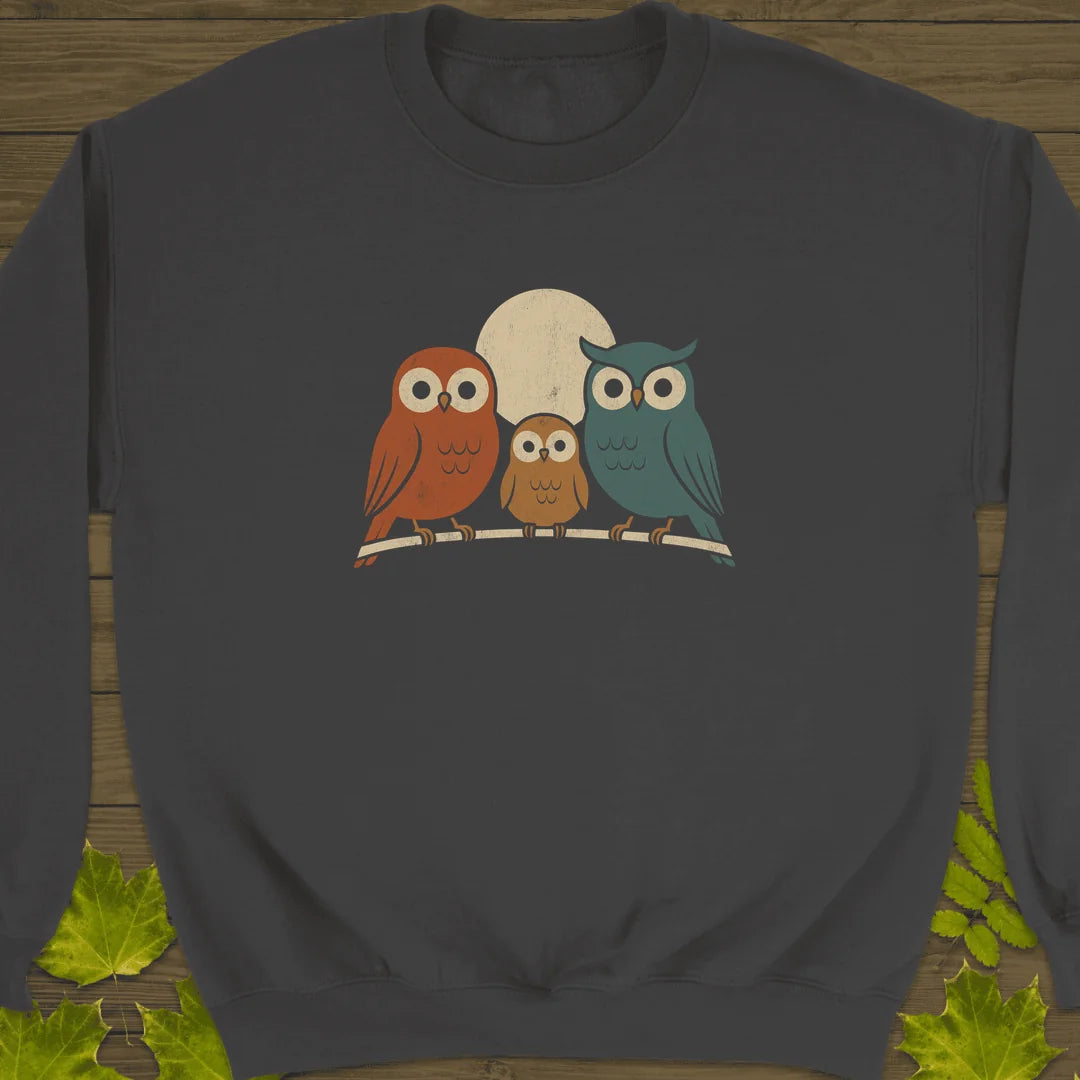 Moonlight Owls Sweatshirt in Charcoal