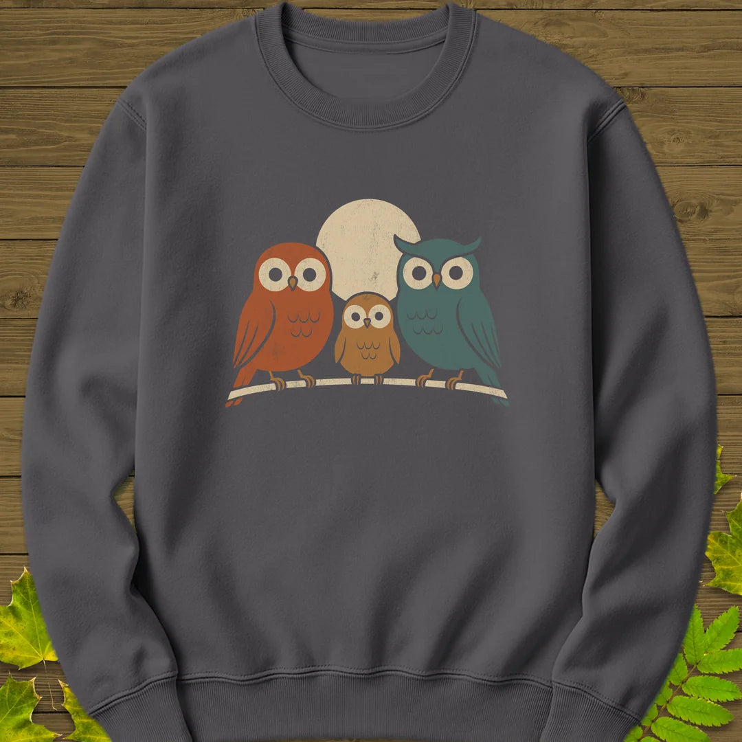 Moonlight Owls Sweatshirt in Charcoal