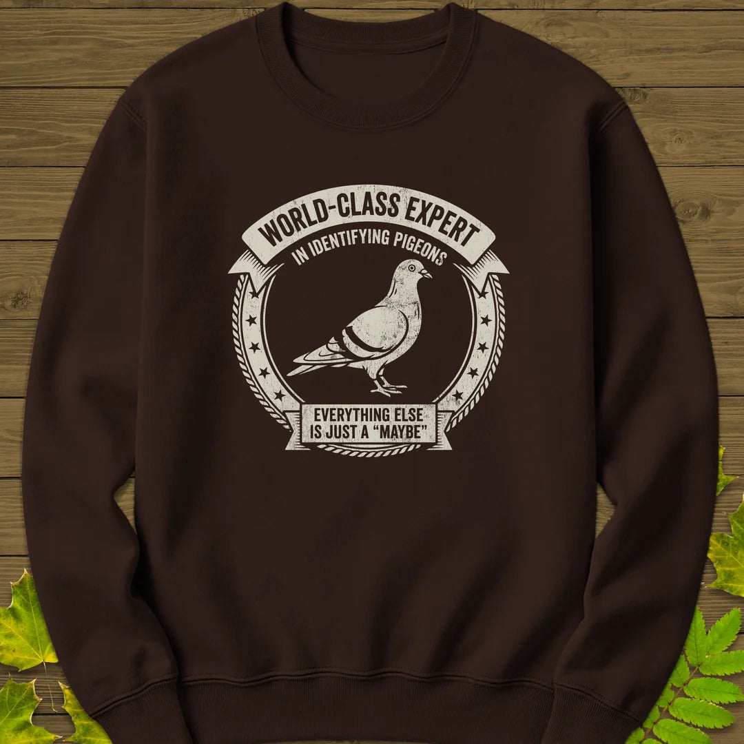Identifying Pigeons Sweatshirt in Dark Chocolate