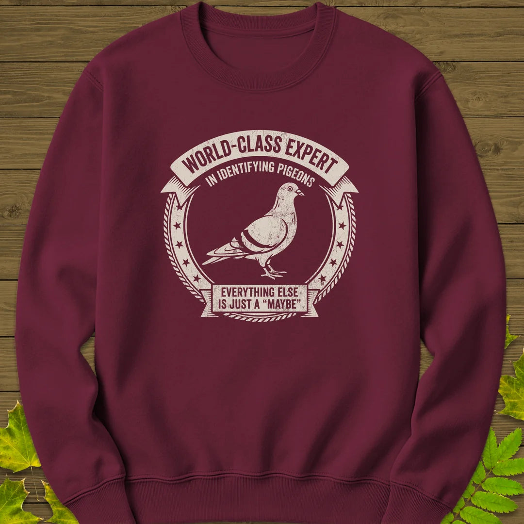 Identifying Pigeons Sweatshirt in Maroon