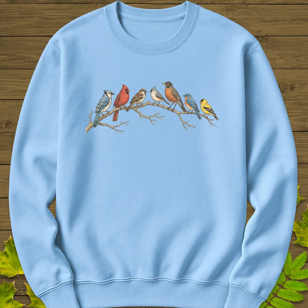 Songbird Summit Sweatshirt in Light Blue