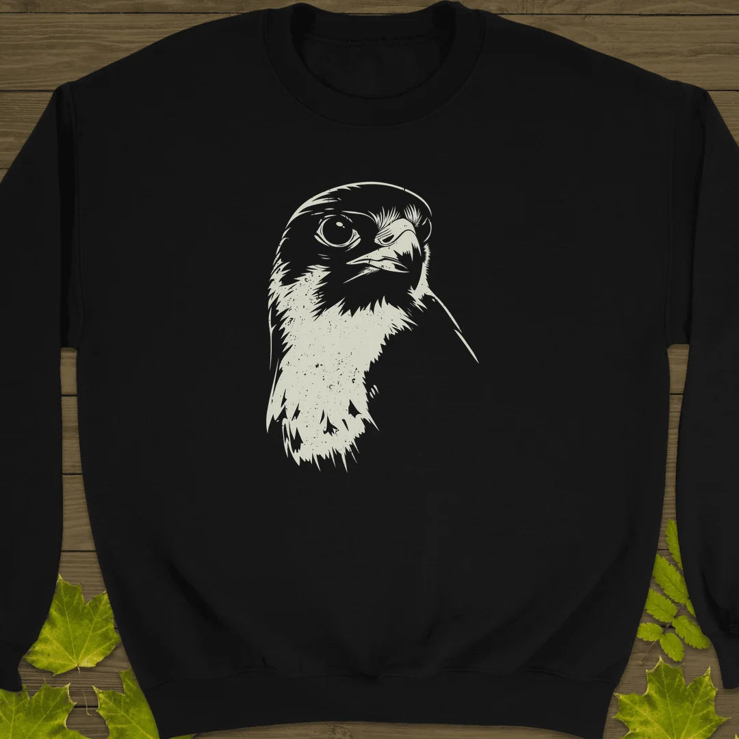 Falcon's Gaze Sweatshirt in Black
