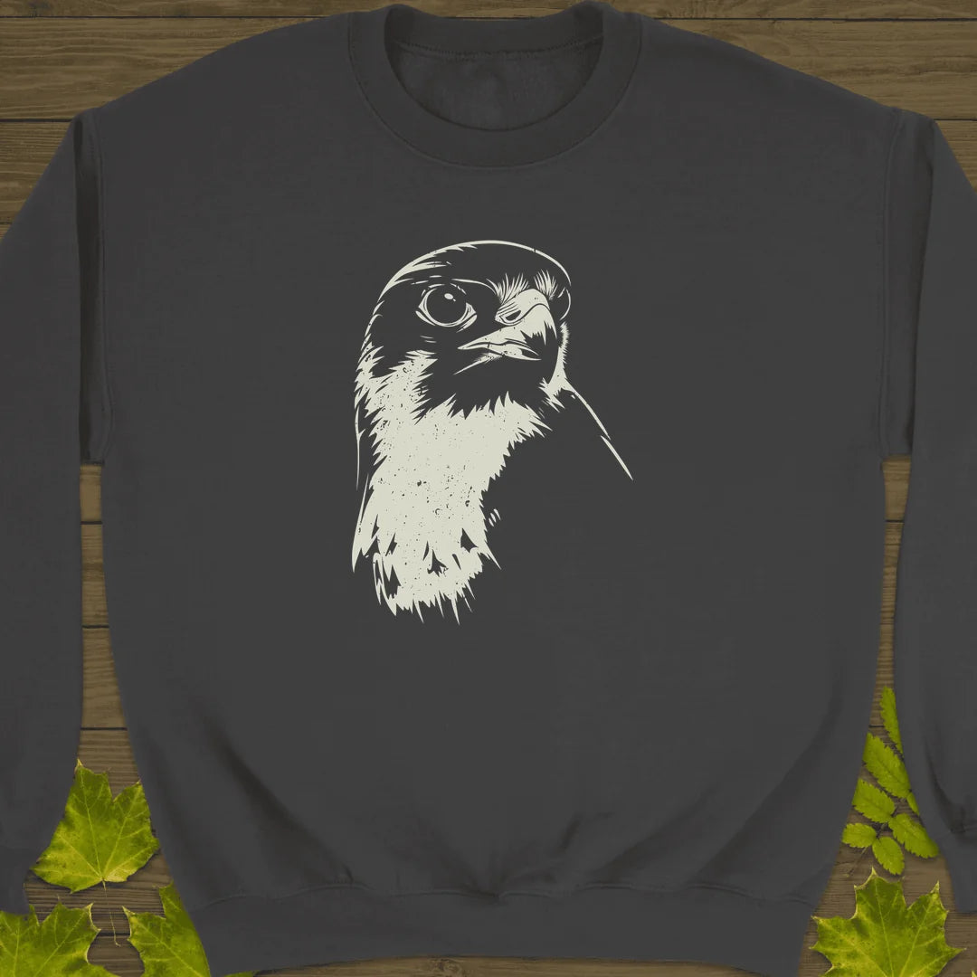 Falcon's Gaze Sweatshirt in Charcoal
