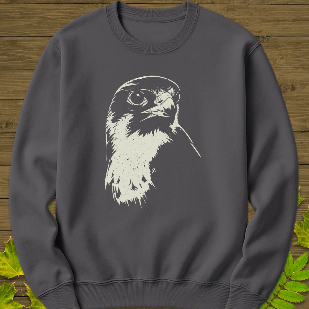 Falcon's Gaze Sweatshirt in Charcoal