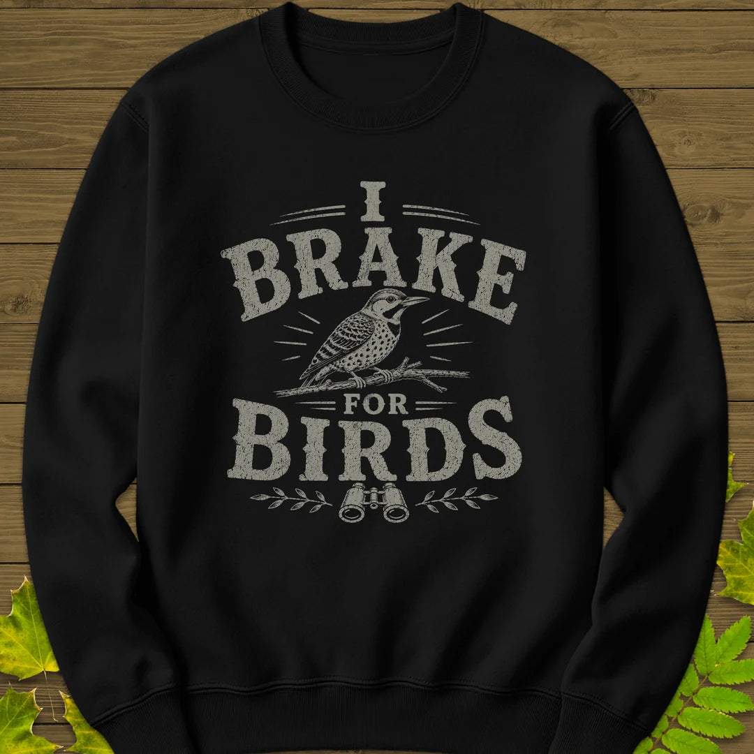 Brake For Birds Sweatshirt in Black