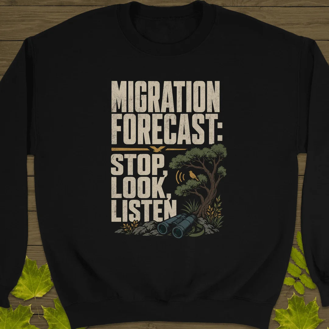 Stop Look Listen Sweatshirt in Black