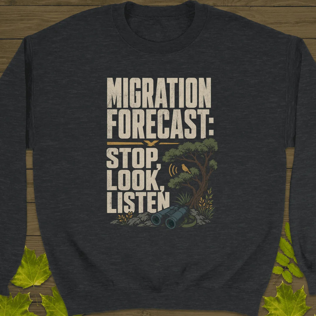 Stop Look Listen Sweatshirt in Dark Heather