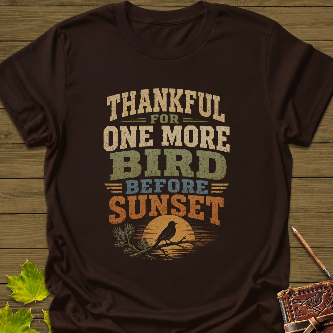 One More Before Sunset T-Shirt in Dark Chocolate