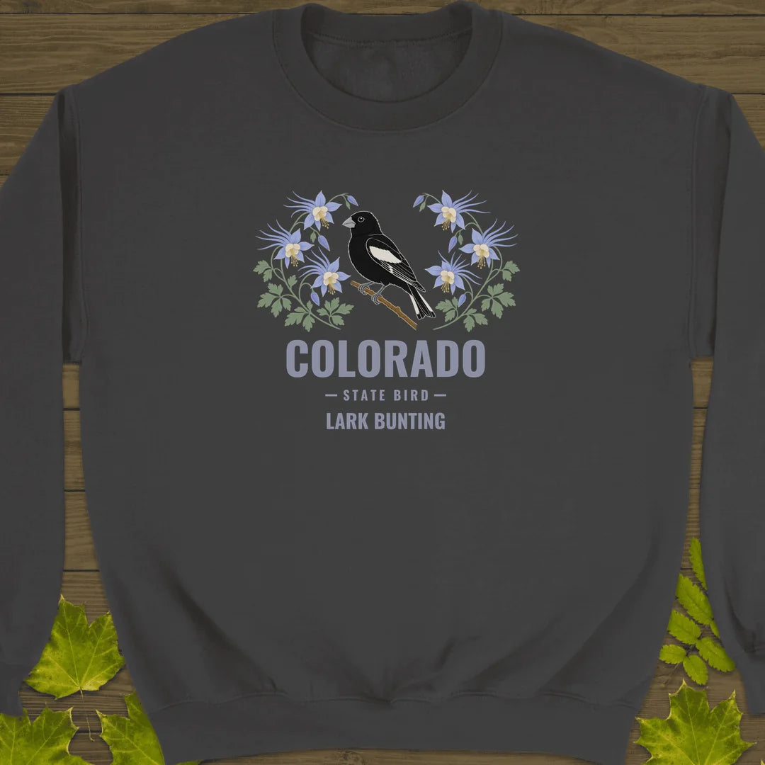 Colorado State Bird Sweatshirt in Charcoal