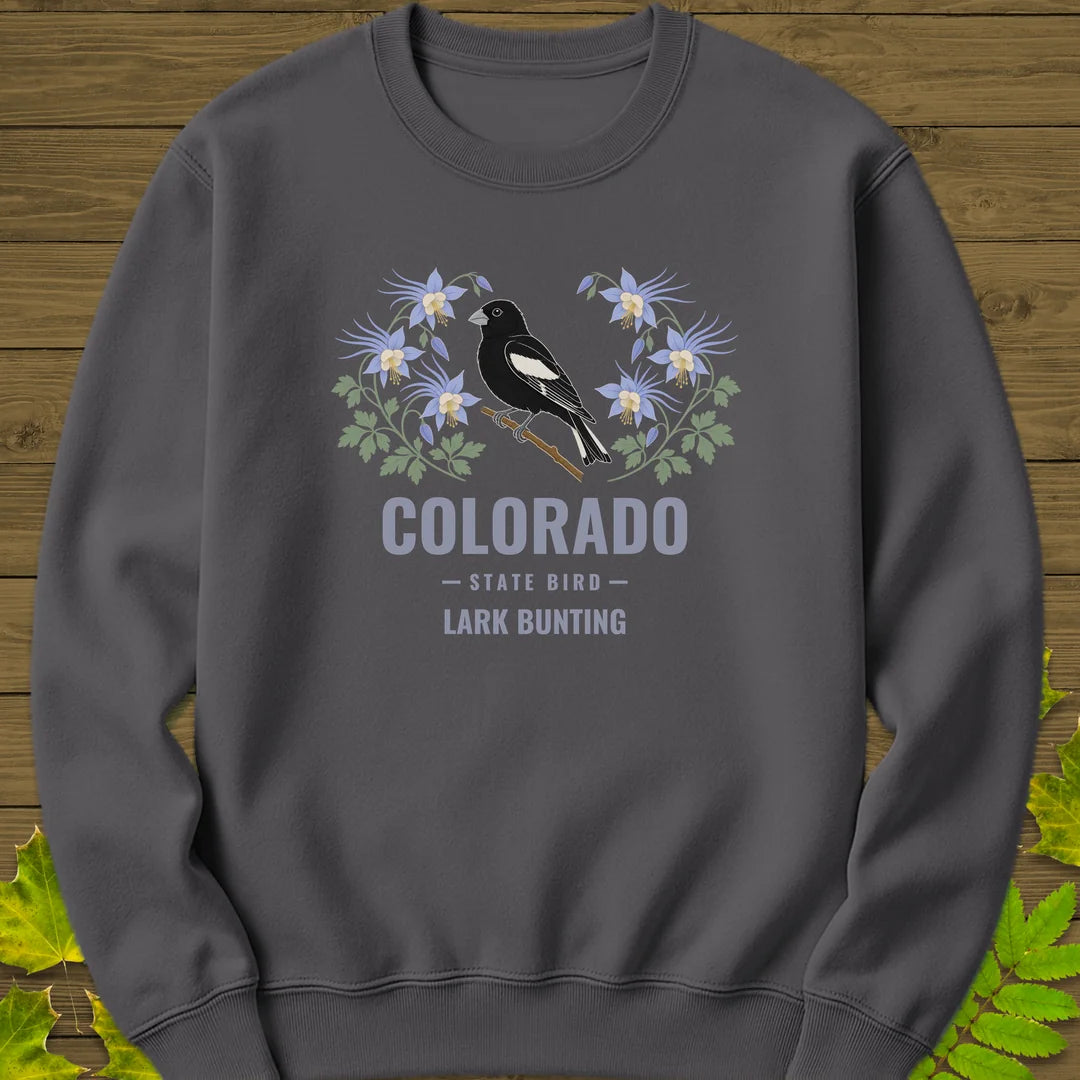 Colorado State Bird Sweatshirt in Charcoal