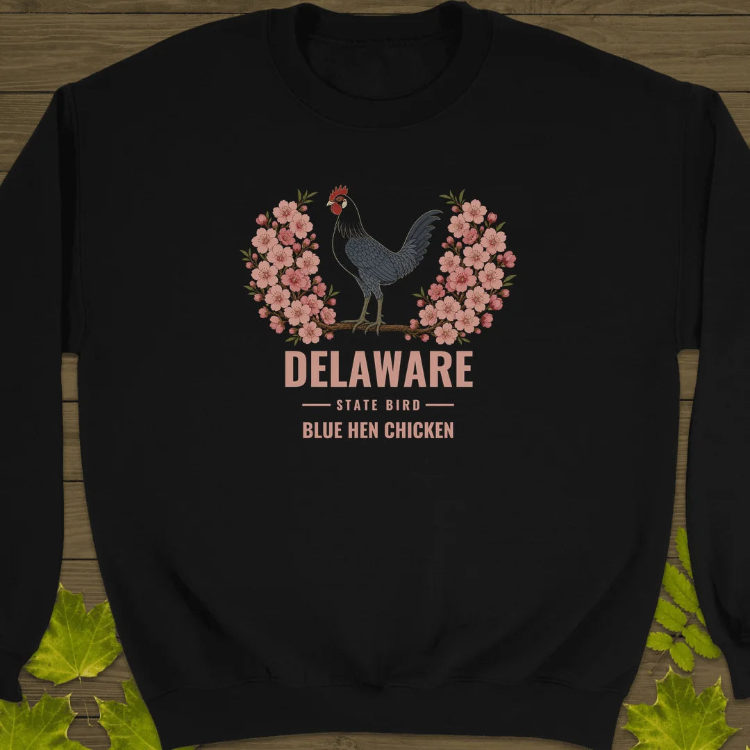 Delaware State Bird Sweatshirt in Black