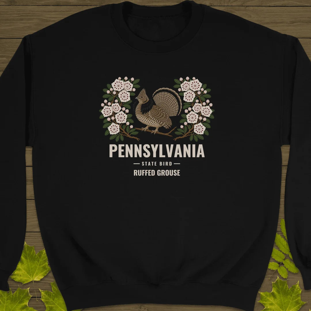 Pennsylvania State Bird Sweatshirt in Black